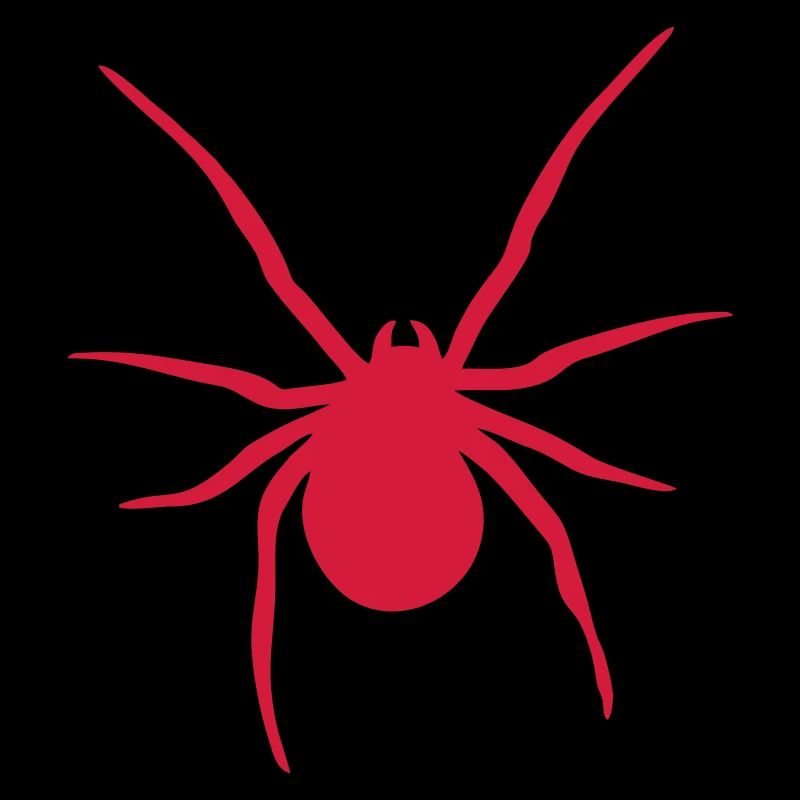 Spinne - spider