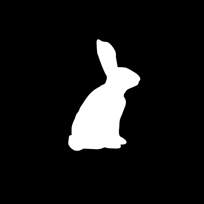 Splatter Bunny
