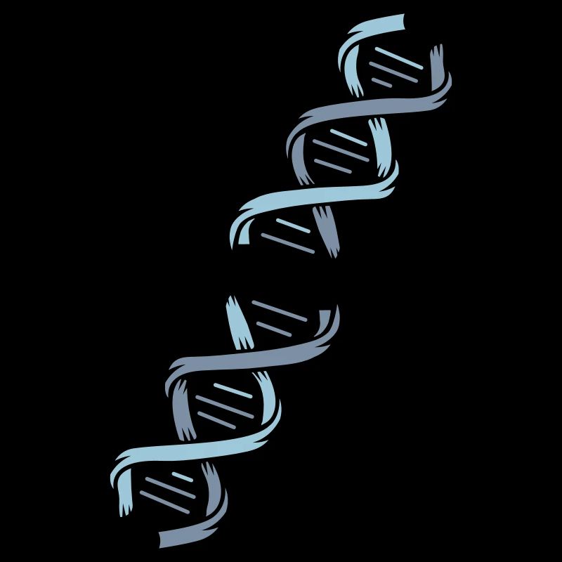 La structure d'une molécule d'ADN