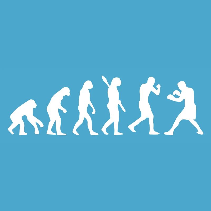 Evolution Boxing