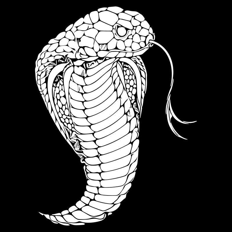 Cobra snake cobra snake