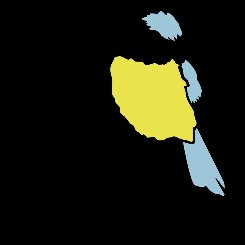 Blaumeise Vogel Meise
