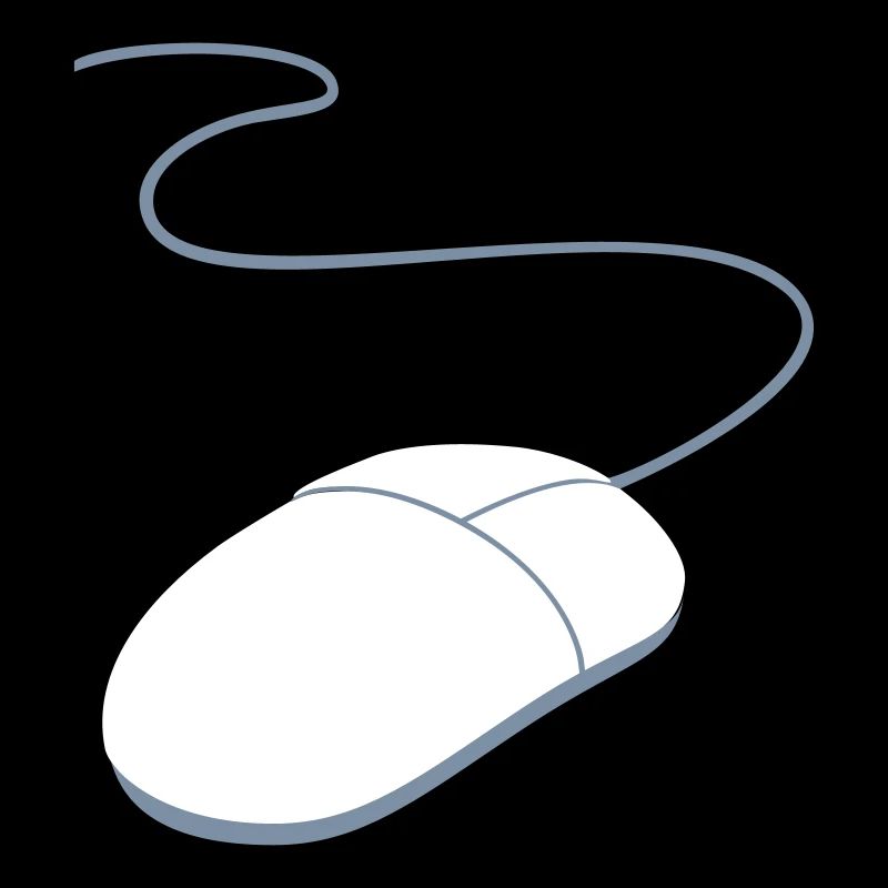 computer mouse