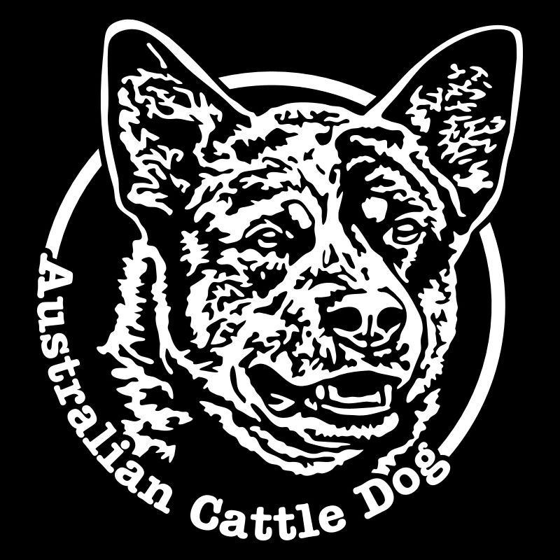 532 Australian Cattle Dog