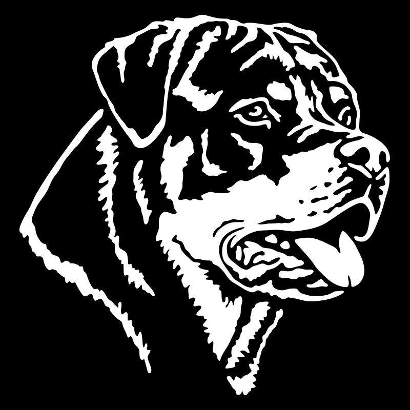 568 Rottweiler Rüde