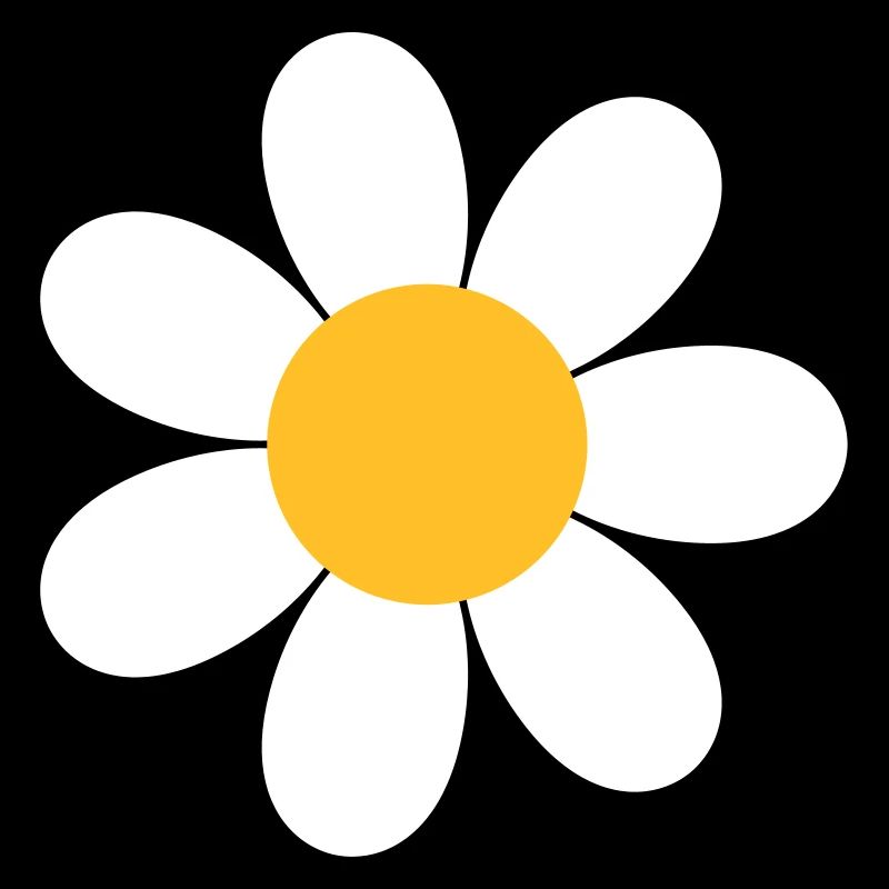 Gänseblümchen Blume