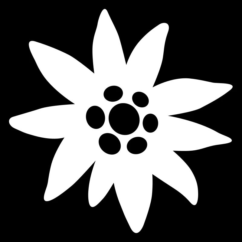 Edelweiss