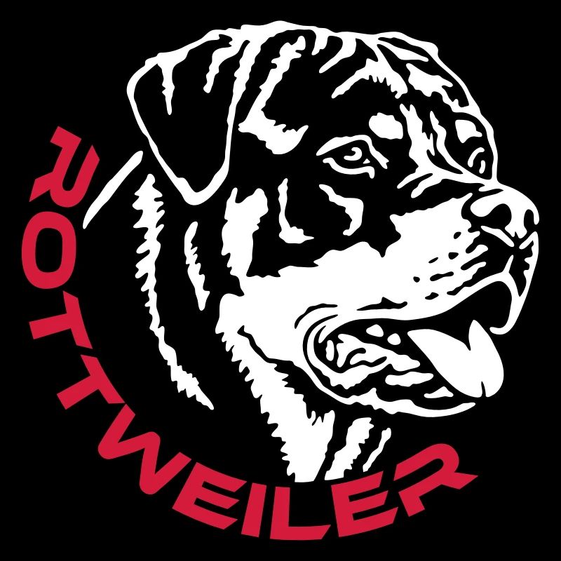 570 Rottweiler Rüde