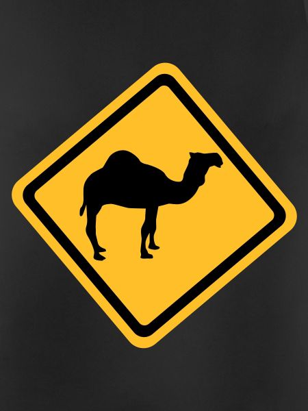 Camel
