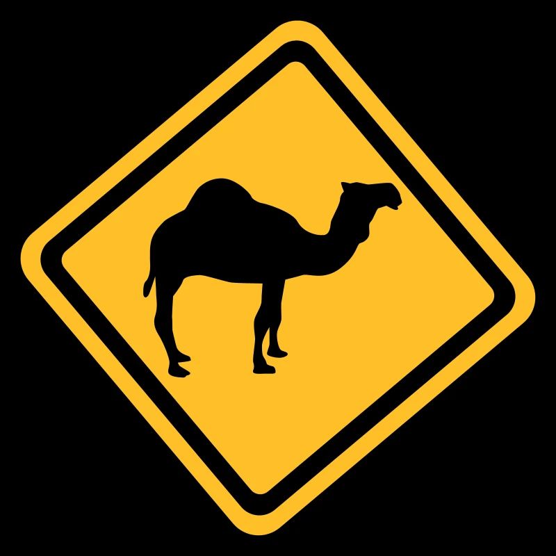 Camel