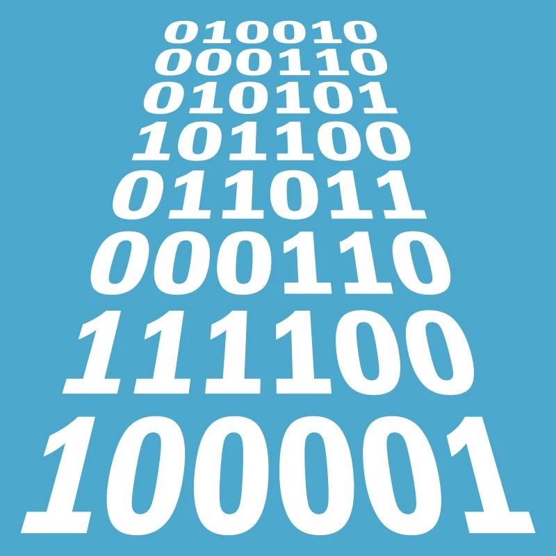 Binaire Code Programma Taal