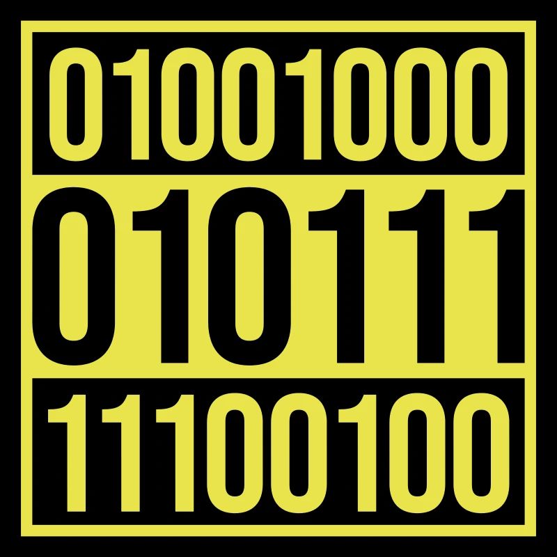 Binary Code Program Language