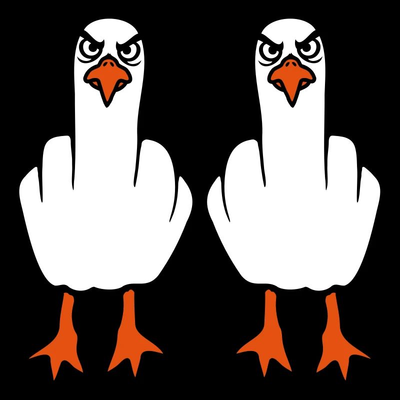 2 Möwen Mittelfinger Beleidigung Stinkefinger Team