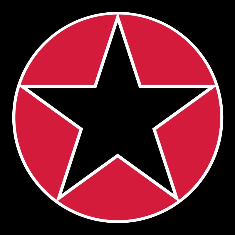 star circ_vec_3 fr