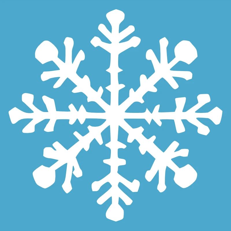 Snowflake Snow Winter Christmas Vector 12