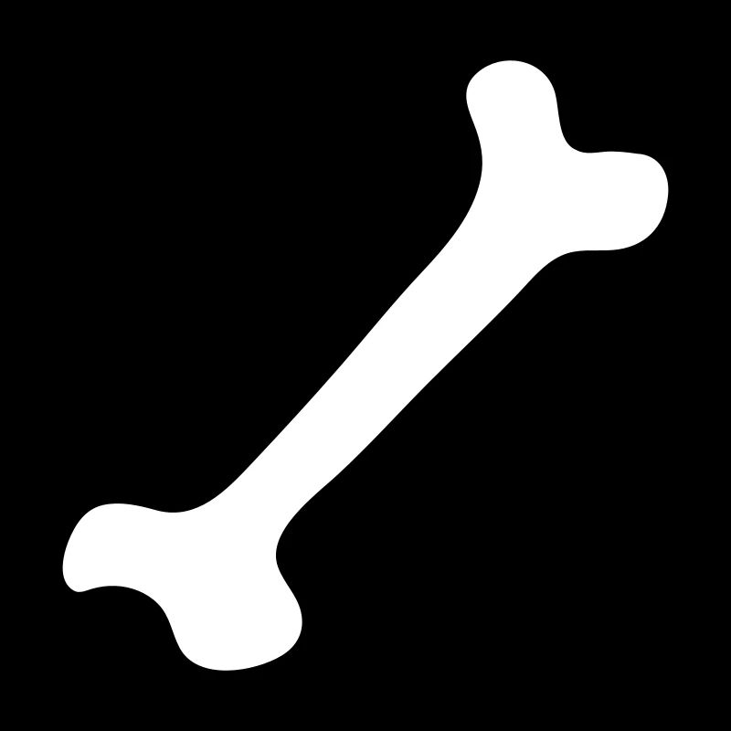 Knochen - Bone 2