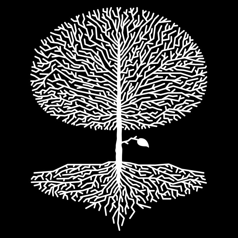 Arbre feuillu krone forêt chêne hêtre nature tilleul branches
