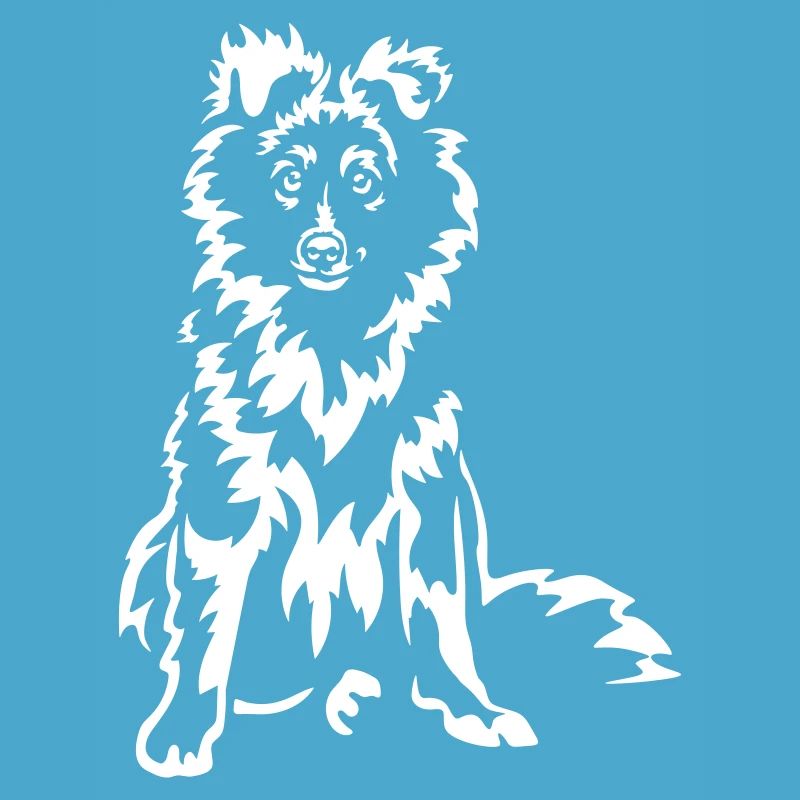 Sheltie « Édition Noire »