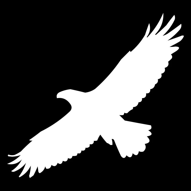 adler