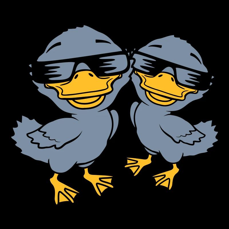 2 lunettes de soleil Cool Duckling