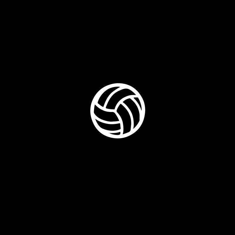Équipe de volley-ball