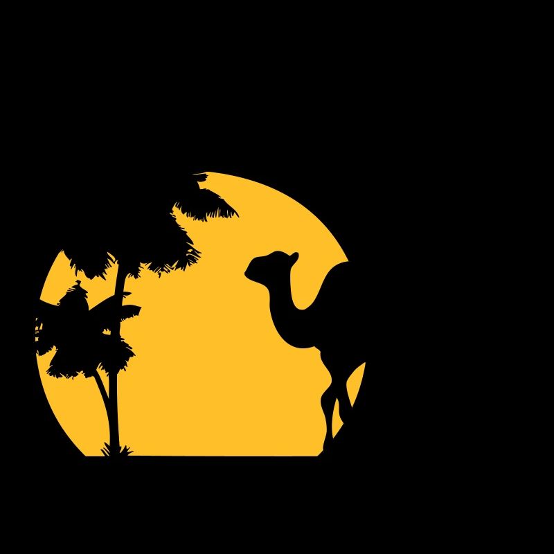 Camel - Kamel - Dromedar