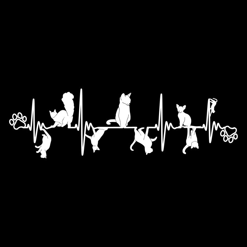 Chat beau chat rythme cardiaque cardiaque conception