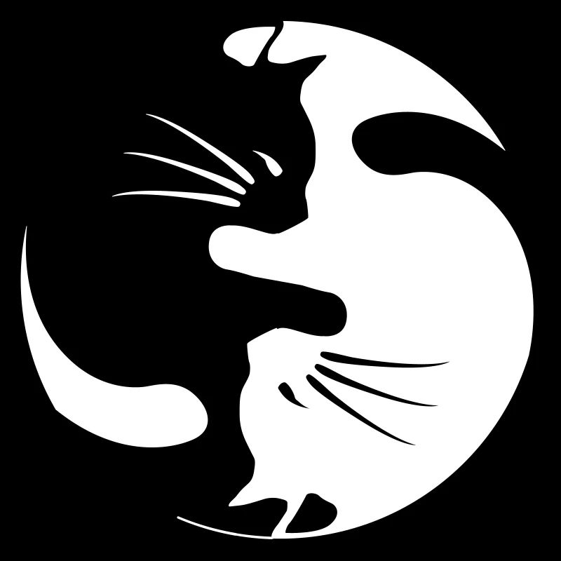 chat yin yang