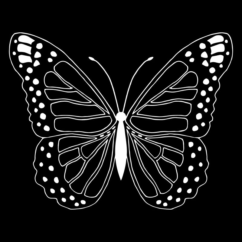 Papillon Papillon Papillon