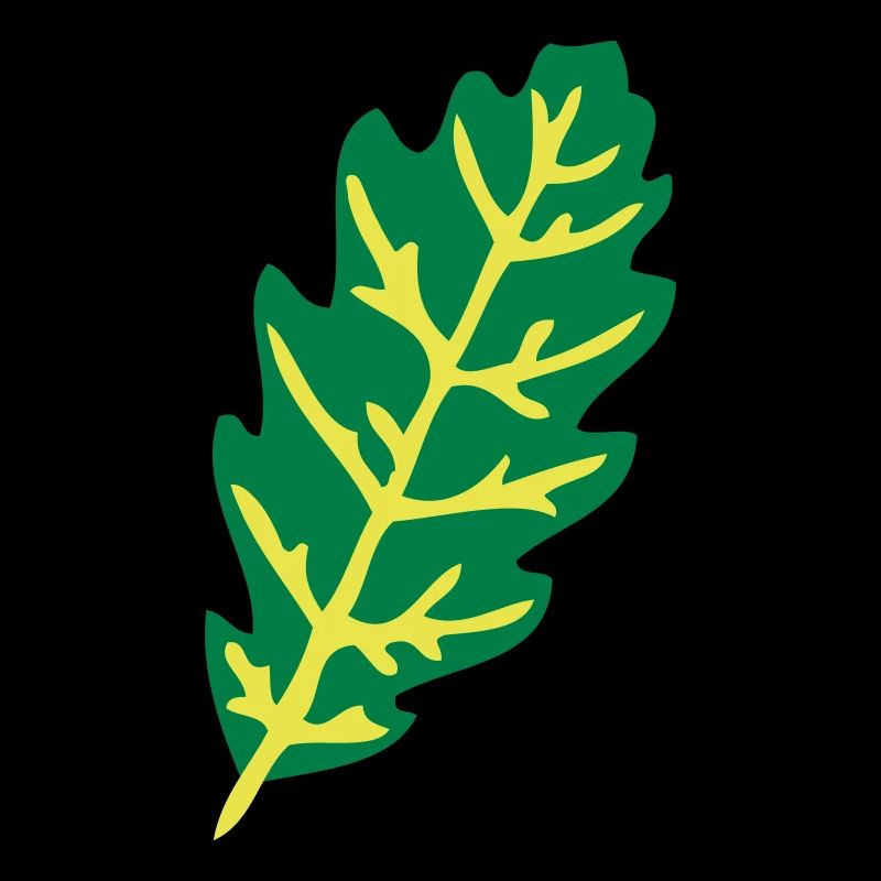 feuillage du chêne