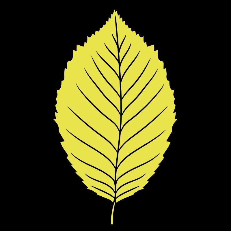 beech leaf tree plant shape clip art design forest