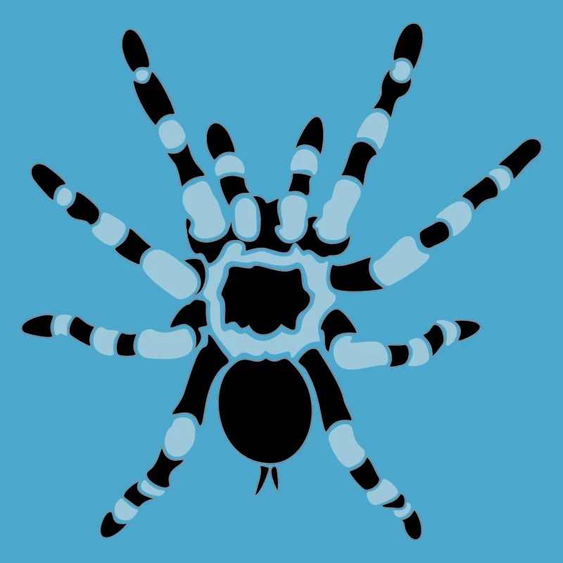 Orange Knee Tarantula