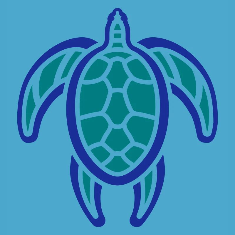 wee turtle