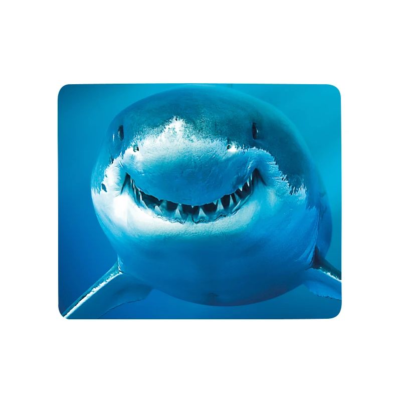 Smiling Shark Underwater