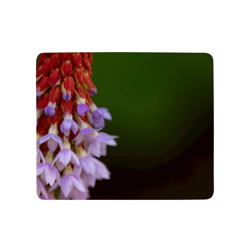 Lavender Blossom Gradient Pattern