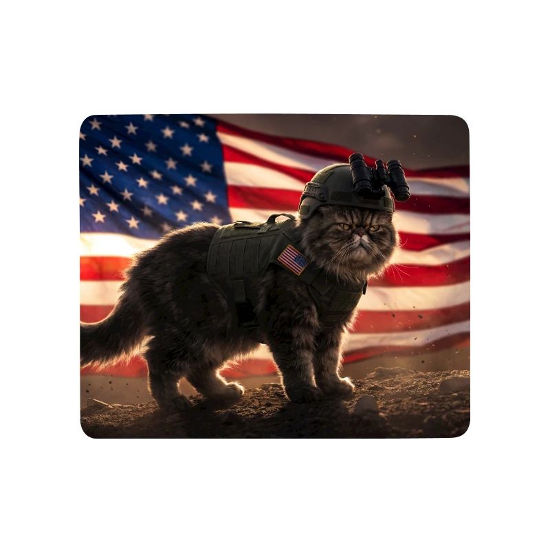 Katzenkrieger vor US-Flagge