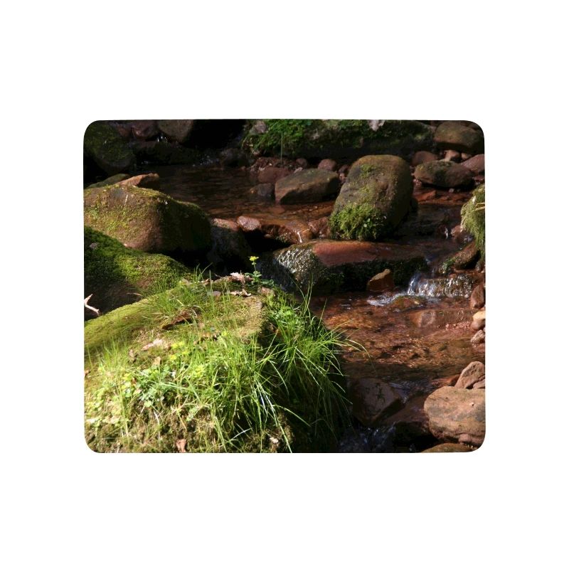 Schwarzwälder Waldbach