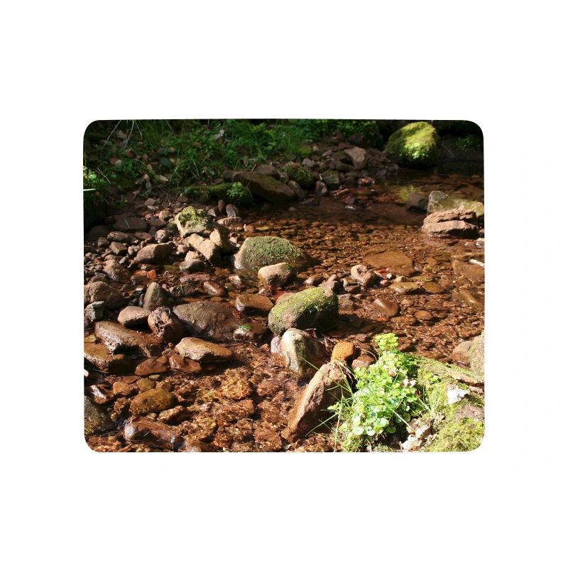 Schwarzwälder Waldbach