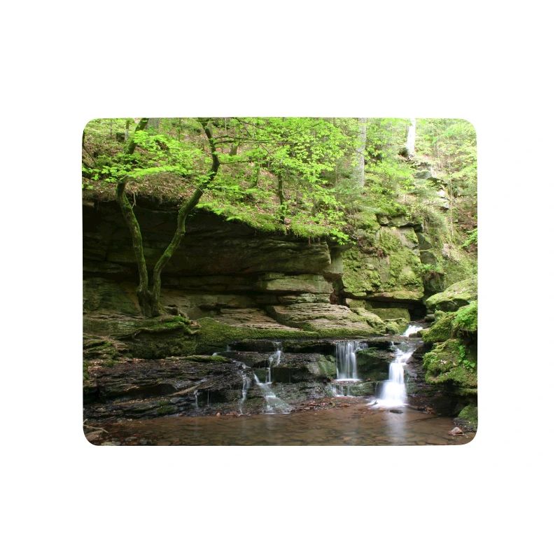 Forêt-Noire Monbach