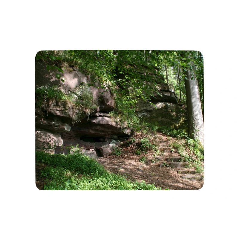 Rock path in the forest light / Northern Black Forest