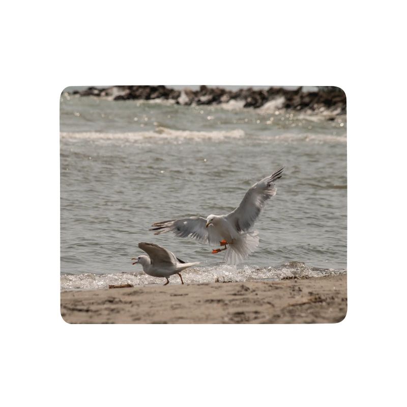 Zwischen Himmel und Meer