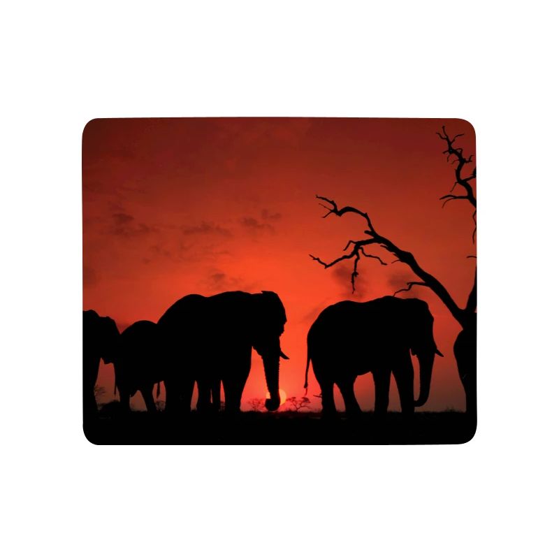 Elefanten bei Sonnenuntergang Silhouette