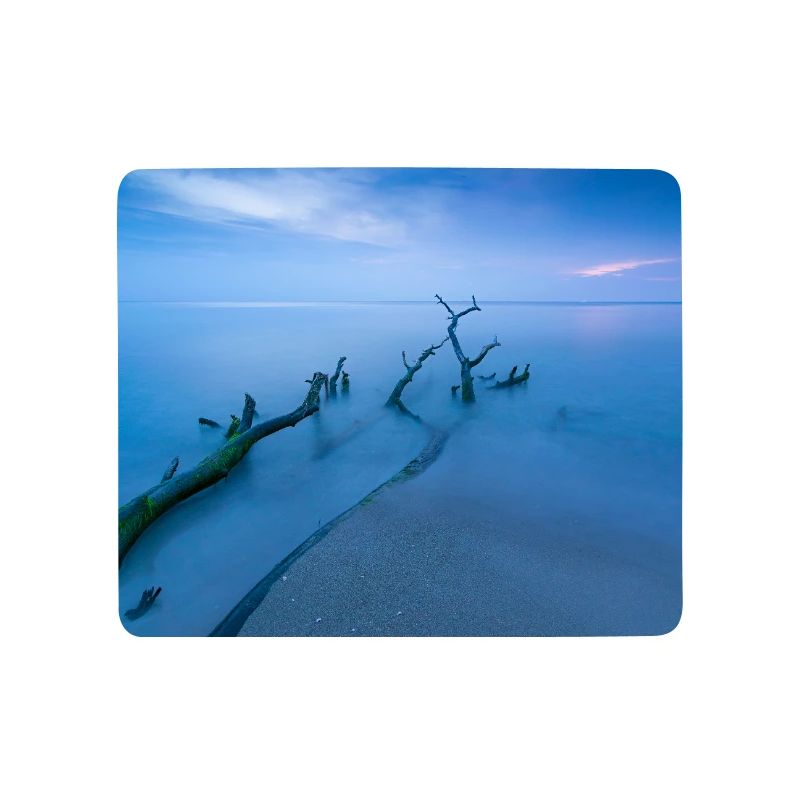 Blaue Stunde am Weststrand