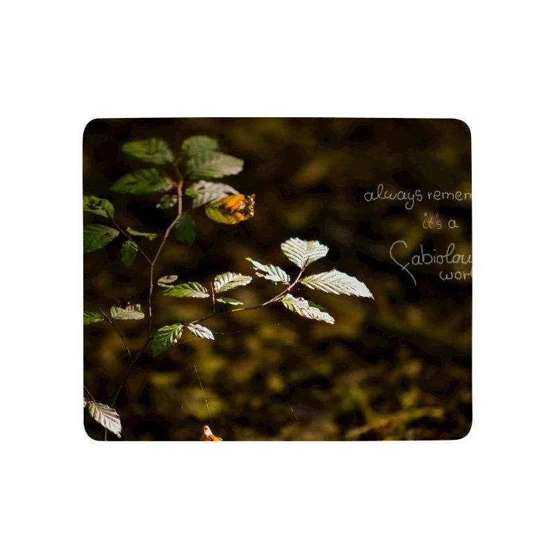 fabiolous world Waldruhe