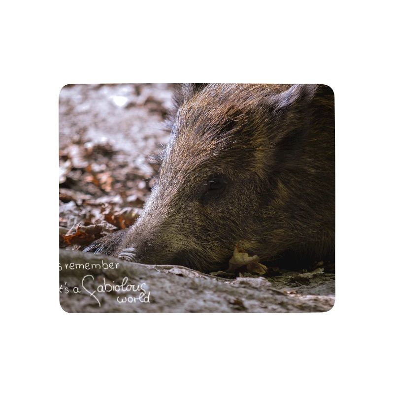 fabiolous world Schweinehund