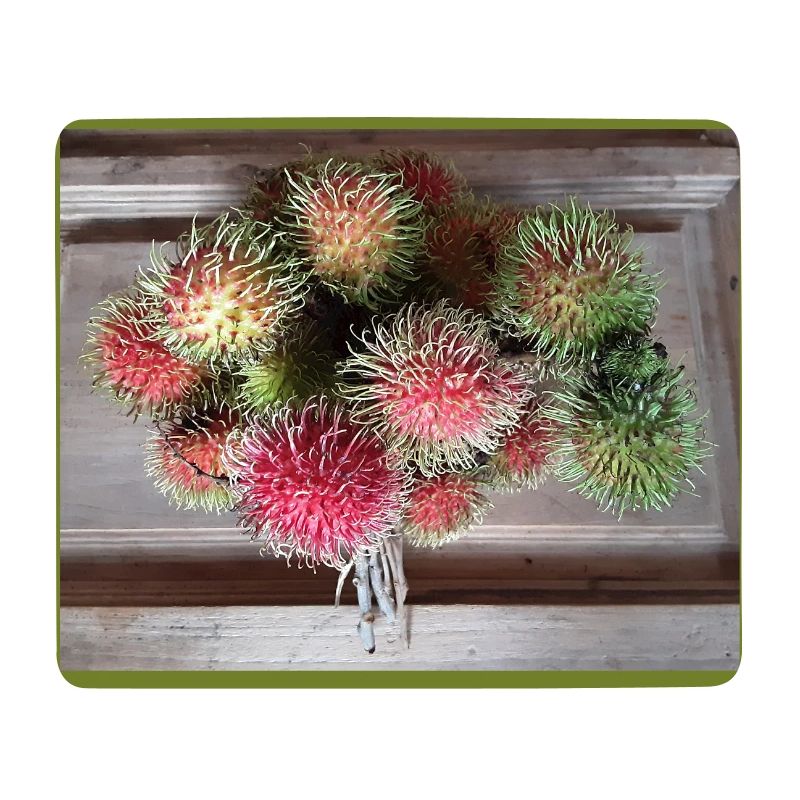 Lychee fruit