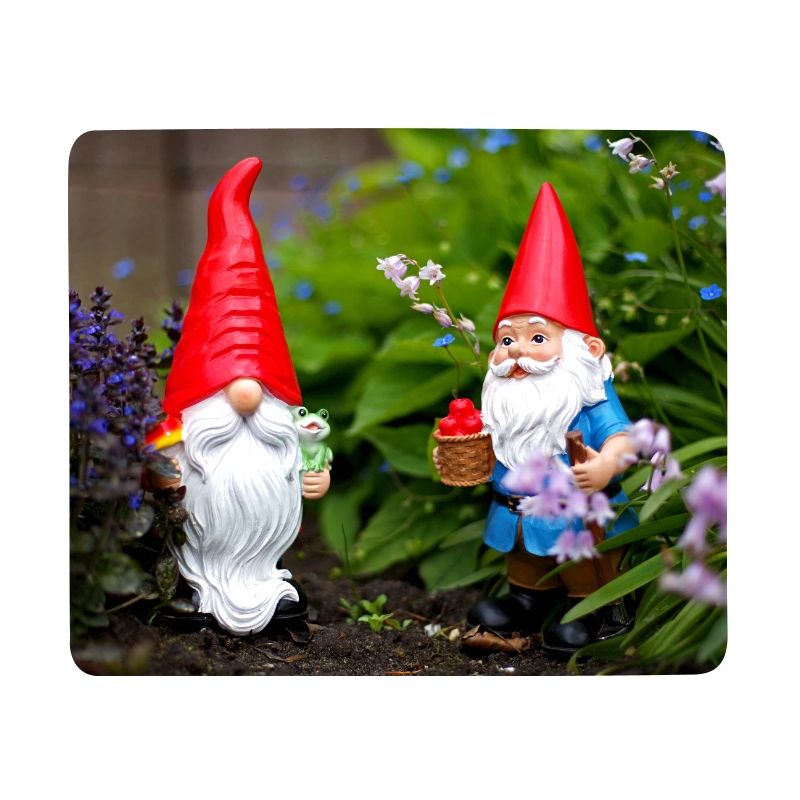 Garden Gnome Red Cap Scene