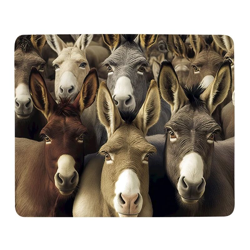 Donkeys Pattern