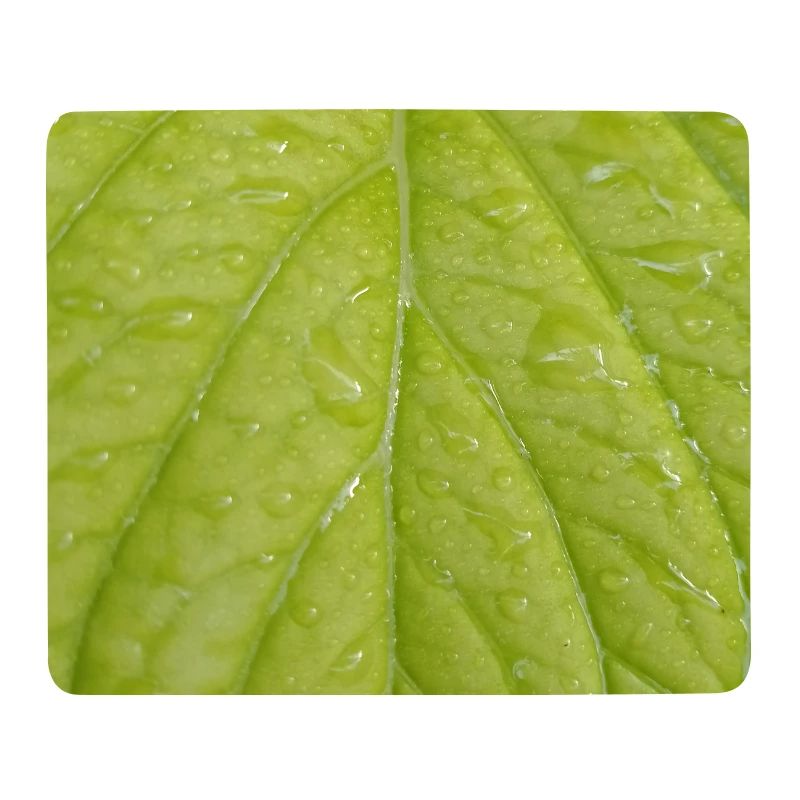 Green leaf