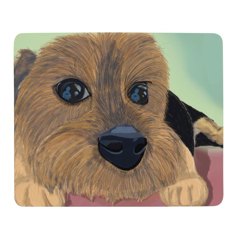 Hundeaugen oder Liebesreflex